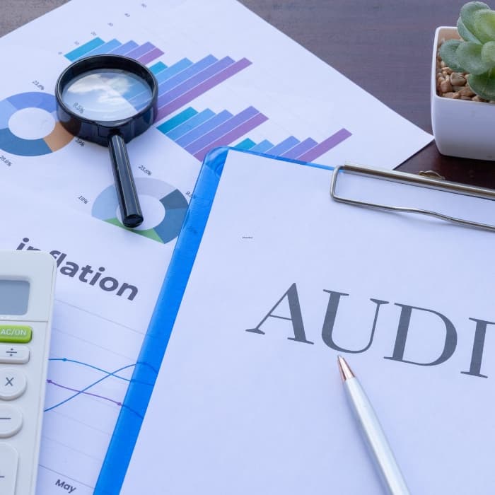 Technology Audits